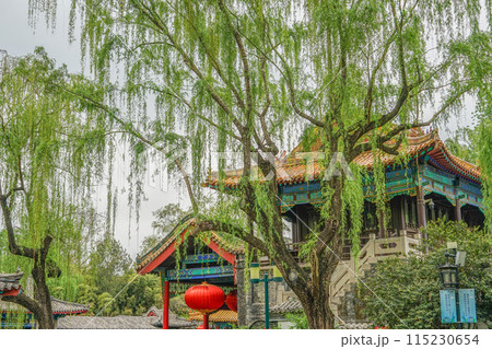 趵突泉公園 115230654