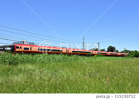 田園地帯を走るJR東武直通特急電車：JR宇都宮線 埼玉県蓮田市黒浜貝塚 115230712
