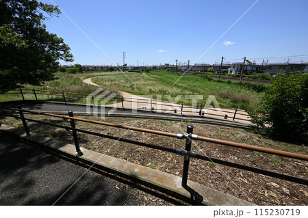 スロープから田園の緑地風景を見おろす：埼玉県蓮田市 黒浜貝塚 115230719