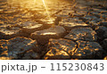 dry cracked earth after global warming. Concept of world climate changes, drought and lack of water 115230843