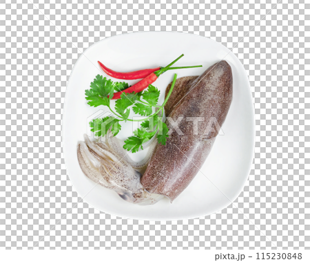 squid on dish with chili and coriander isolated 115230848