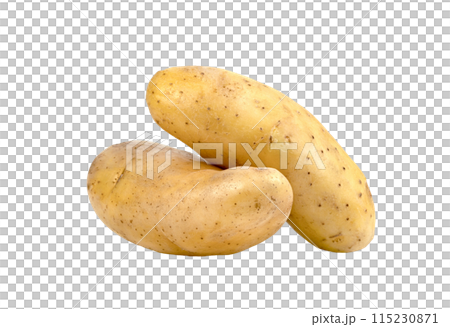 raw potatoes isolated 115230871