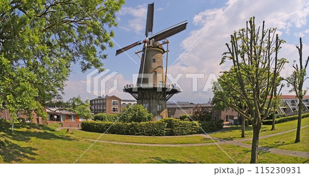 Picture of a typical Dutch windmill on a green meadow against a blue sky Picture of a typical Dutch windmill on a green meadow against a blue sky 115230931