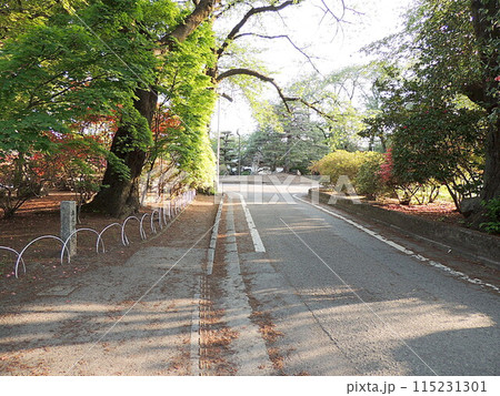 沼田城　本丸御門跡 115231301