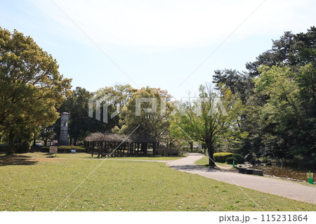 岩槻城址公園の草原の広場 115231864