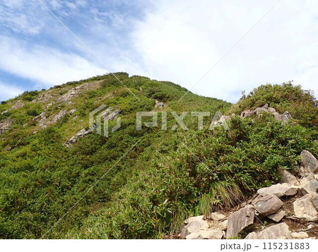 雨飾山の登山道 雨飾山の登山道 115231883