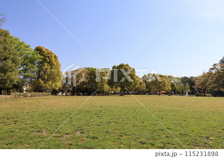 岩槻城址公園の草原の広場 115231898