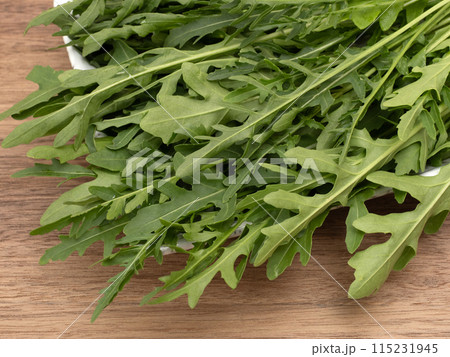 ハーブ　セルバチコ 115231945