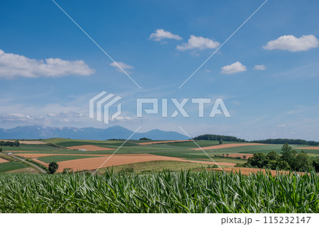 晴れた夏の畑作地帯と山並み　十勝岳連峰 115232147