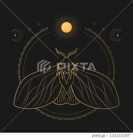 Celestial background with golden moth, sun and crescent moon. Magical, mystical concept. Vector illustration 115232197