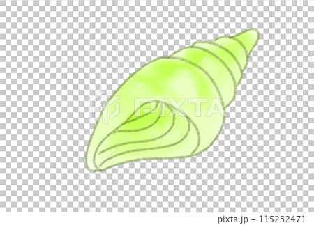 五顏六色的貝殼 五顏六色的貝殼 115232471