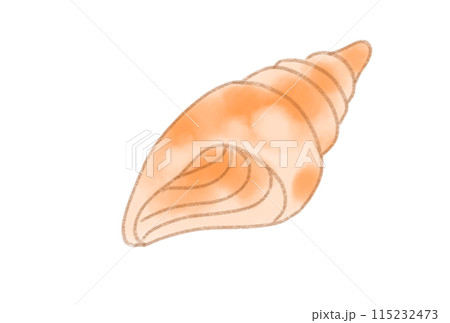 カラフルな貝殻 カラフルな貝殻 115232473