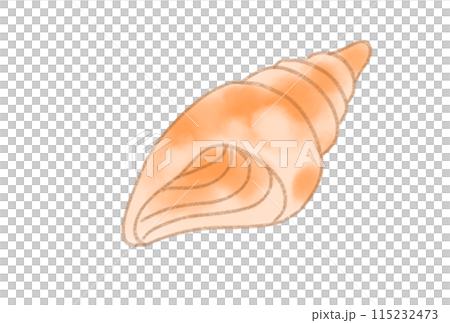 カラフルな貝殻 カラフルな貝殻 115232473