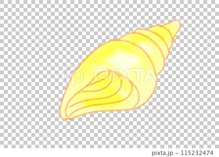 Colorful seashells Colorful seashells 115232474