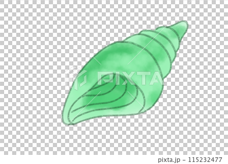 五顏六色的貝殼 五顏六色的貝殼 115232477