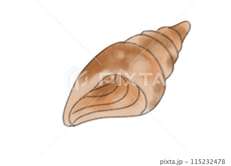 カラフルな貝殻 115232478