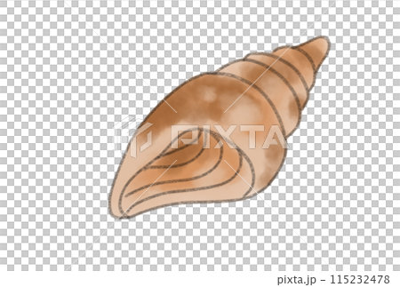 カラフルな貝殻 115232478