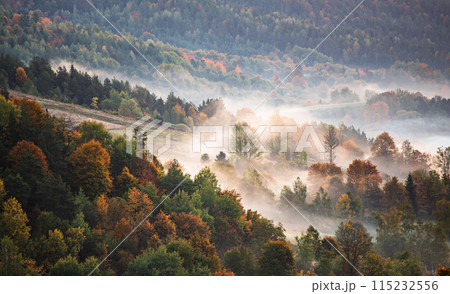 Autumn mountain landscape Autumn mountain landscape 115232556