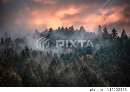 Misty mountain landscape Misty mountain landscape 115232558