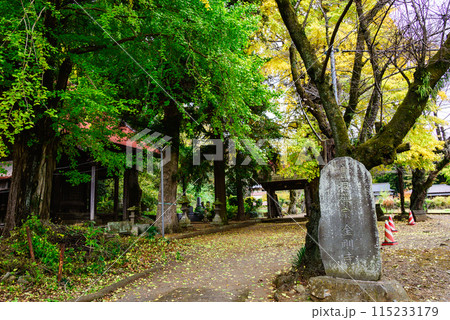 飯山観音金剛寺大師堂の風景 115233179