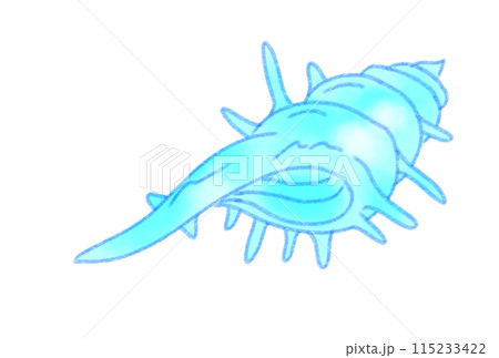 カラフルな貝殻 カラフルな貝殻 115233422