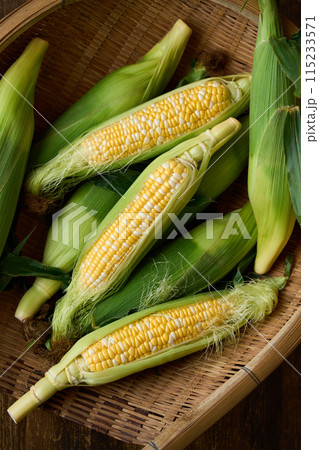 収穫したとうもろこし 収穫したとうもろこし 115233571