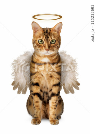 A cute Bengal cat with wings and a halo 115233693