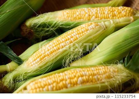 収穫したとうもろこし 収穫したとうもろこし 115233754
