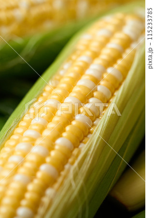 とうもろこしのクローズアップ 115233785