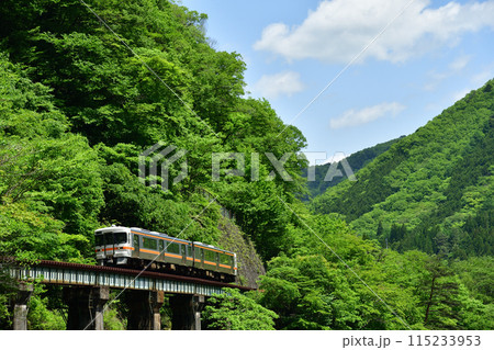 新緑の山沿いを走る列車 115233953