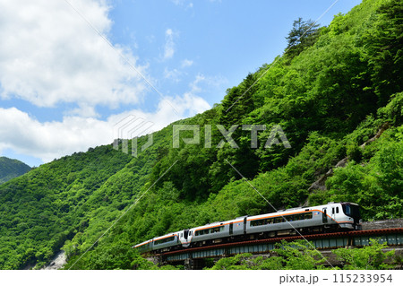 新緑の山沿いを走るHC85系の特急「ひだ」 115233954
