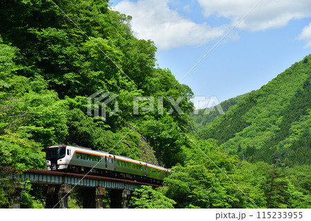 新緑の山沿いを走るHC85系の特急「ひだ」 新緑の山沿いを走るHC85系の特急「ひだ」 115233955