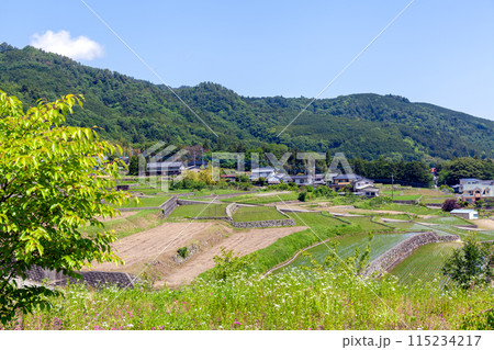 山梨県南アルプス市、中野の棚田(休耕田あり) 山梨県南アルプス市、中野の棚田(休耕田あり) 115234217