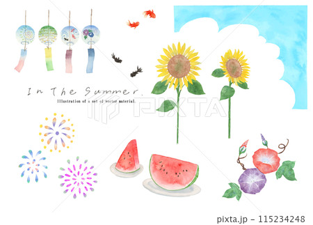 夏のかわいい手描きベクターイラスト素材セット 115234248