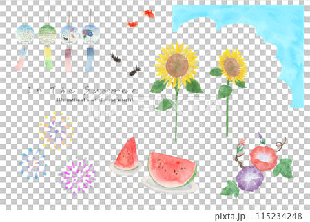 夏のかわいい手描きベクターイラスト素材セット 115234248