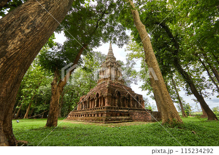 Wat Pa Sak is a Buddhist temple in thailand 115234292