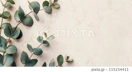 Eucalyptus branches with leaves on a light texture background Eucalyptus branches with leaves on a light texture background 115234411