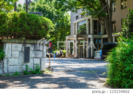 東京 成城大学 東京 成城大学 115234602