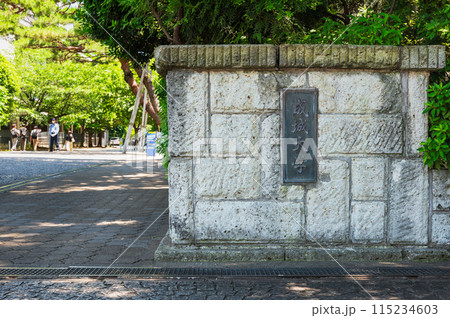 東京 成城大学 東京 成城大学 115234603