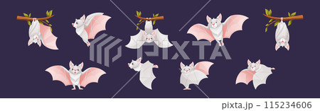 Bat Flying Creature Character Hang on Tree Branch Vector Set 115234606