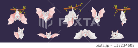 Bat Flying Creature Character Hang on Tree Branch Vector Set 115234608