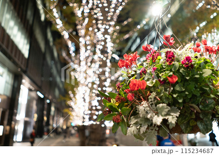 東京都　イルミネーションが輝く道に飾られた花 115234687
