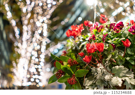 東京都　イルミネーションが輝く道に飾られた花 115234688