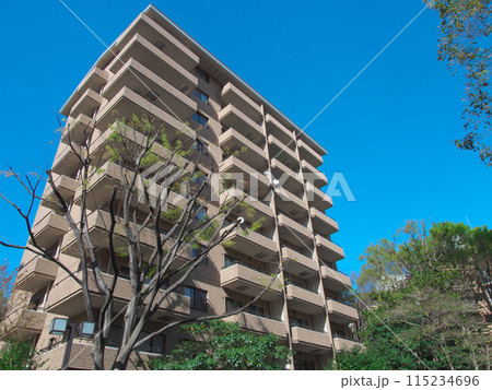 緑豊かな広尾の高級マンション(2024年4月) 緑豊かな広尾の高級マンション(2024年4月) 115234696