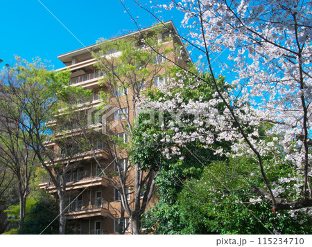 緑豊かな広尾の高級マンション（2024年4月） 115234710