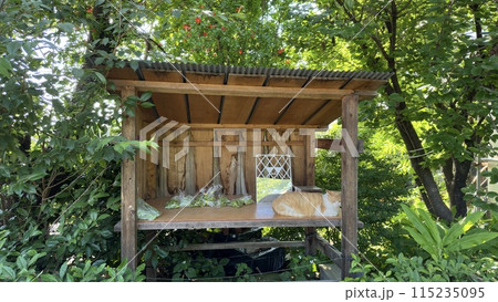 店番をする猫 店番をする猫 115235095