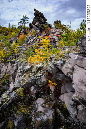 溶岩石と紅葉【鬼押出し園】 115235293
