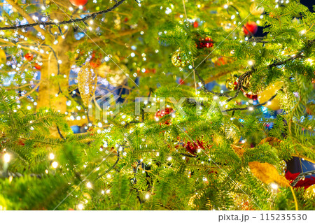 華やかなクリスマスツリー 華やかなクリスマスツリー 115235530