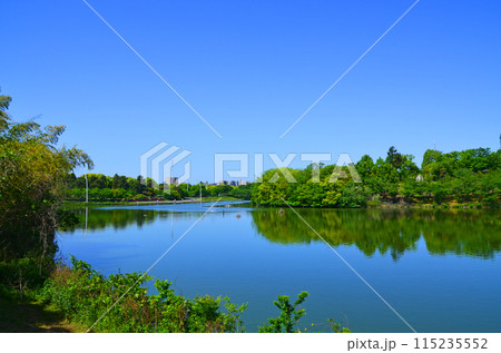 大阪　鶴見緑地公園の大池 115235552
