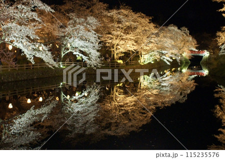 鹿野城後の桜の木のライトアップ写真 115235576